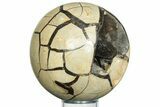 Polished, Septarian Geode Sphere - Madagascar #230406-1